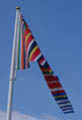 De Barcode vlag voor de Europese Unie (foto: Bart van Hoek)