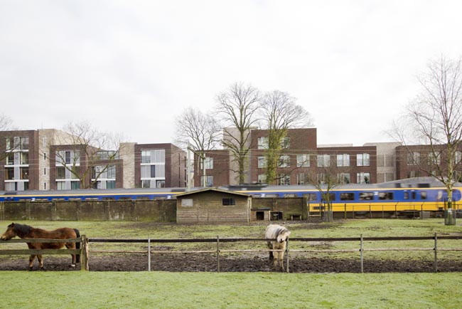Zoom in op afbeelding